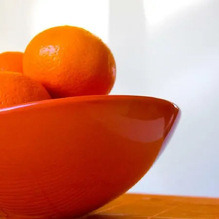 Pomaranczarnia * Poznaň